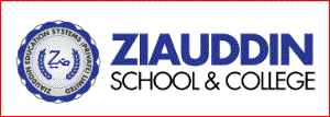 Ziauddin Intermediate College